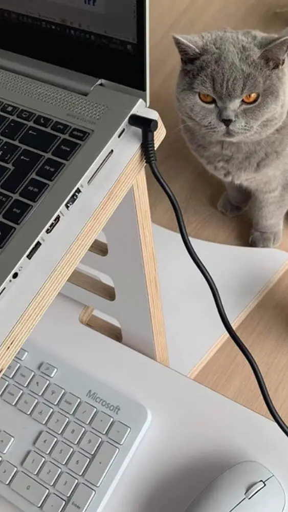 Avis client HomeDesk